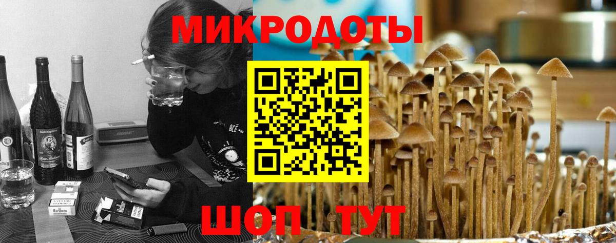 Бердск  сколько стоит  Вход с VPN  Псилоцибиновые грибы ЛСД 